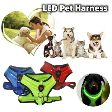 LED Luminous Dog Harness – USB Rechargeable Safety Vest√√
