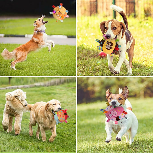 Fun Dog Toy with Chimes & Squeaky Balls√√