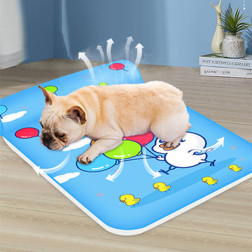 Summer Cooling Bed for Dogs & Cats.√√
