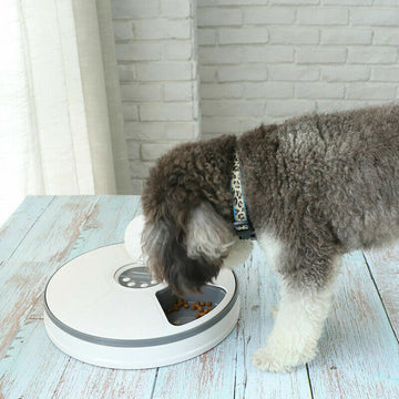 Automatic 6-Day Smart Pet Feeder – Timed Food Dispenser for Dogs & Cats”