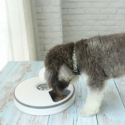 Automatic 6-Day Smart Pet Feeder – Timed Food Dispenser for Dogs & Cats”