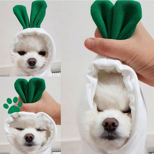 Cozy Carrot Hoodie for Pets 🥕🐾√√