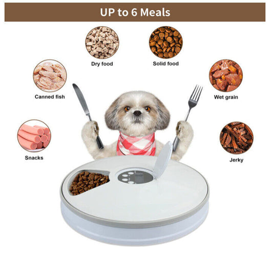 Automatic 6-Day Smart Pet Feeder – Timed Food Dispenser for Dogs & Cats”